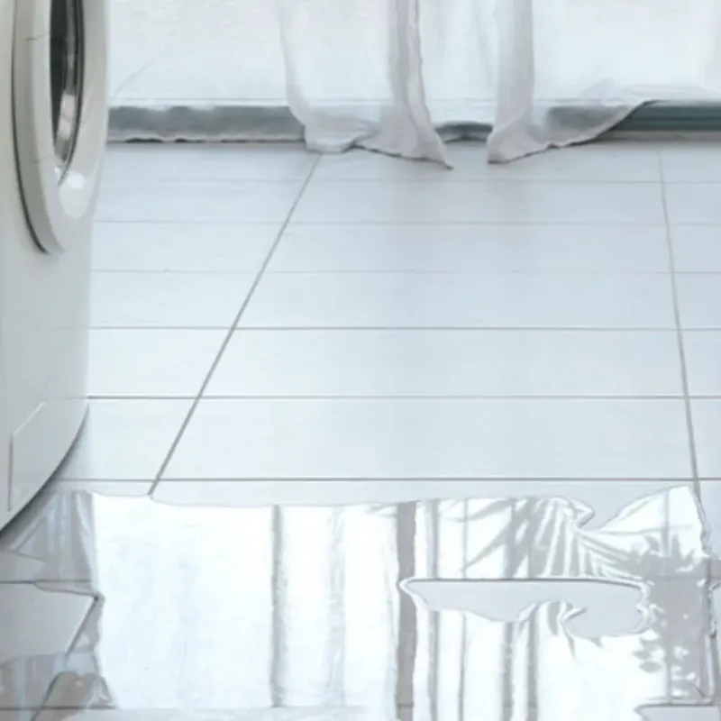 Appliance Leak Cleanup in Marion County, TX
