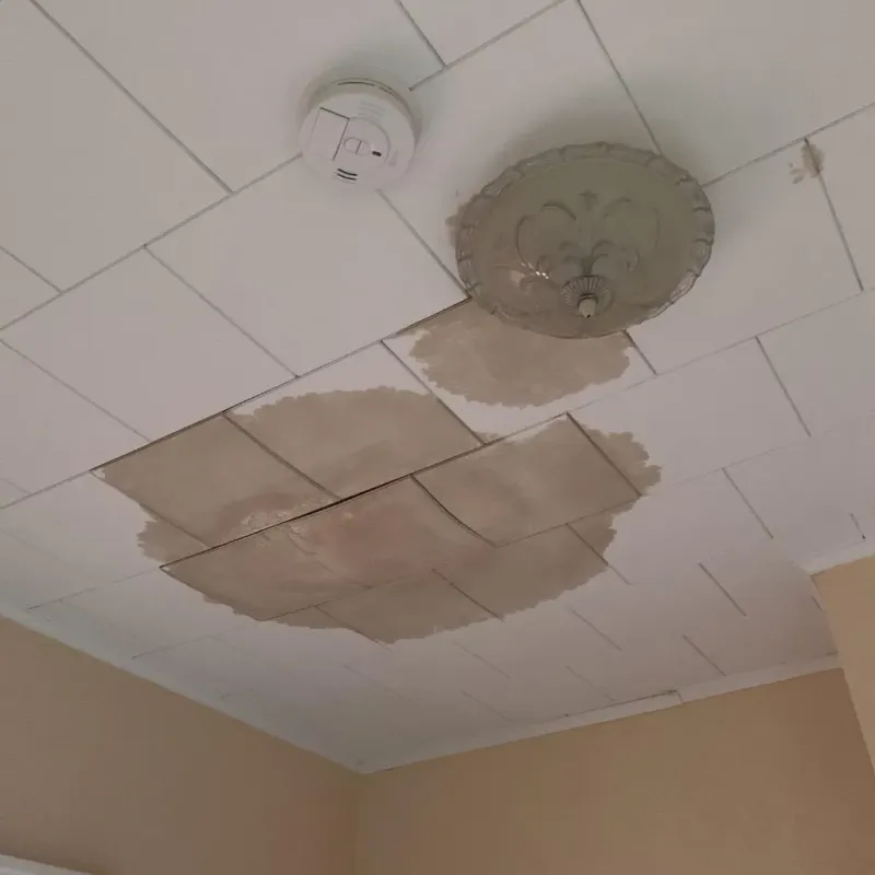 Ceiling Water Damage Repair in Marion County, TX