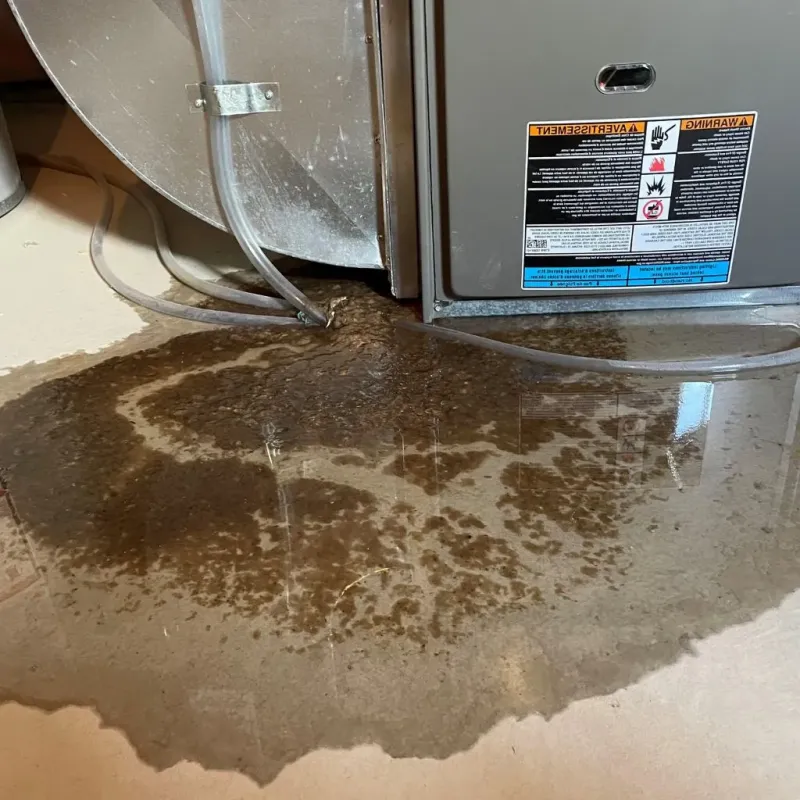 Pipe Burst and Leak Restoration in Marion County, TX