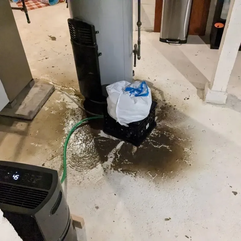 Sewage Backup Cleanup Service in Marion County, TX